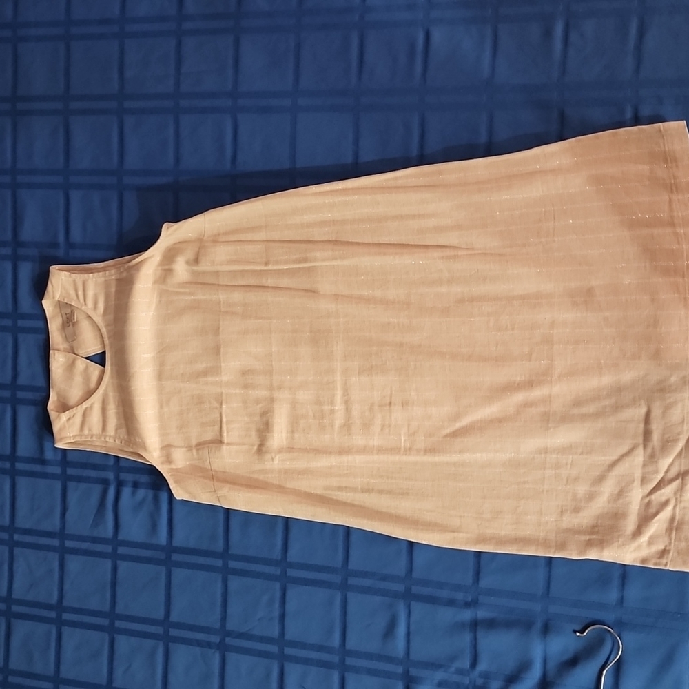 Loft beige dress. 00petite NWT